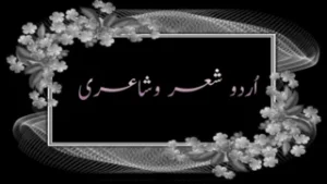 urdu shero shayari